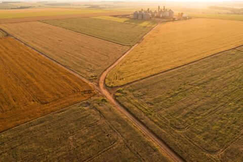 Holding rural: como funciona e quando faz sentido criar
