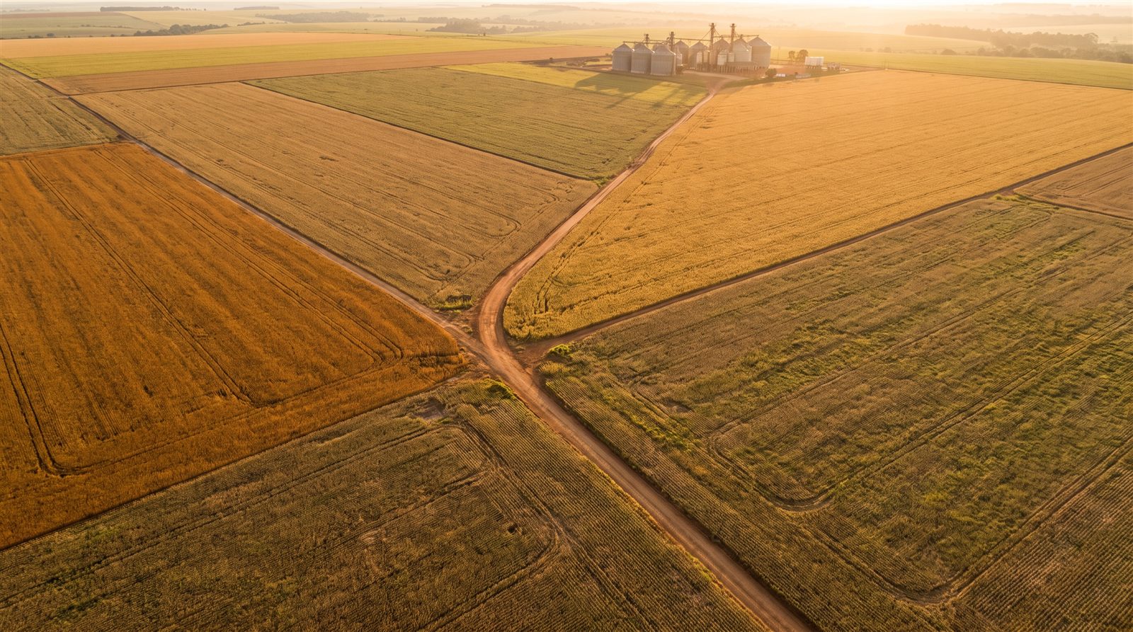 Vista aérea de lavoura ao entardecer representando o patrimônio de uma holding rural